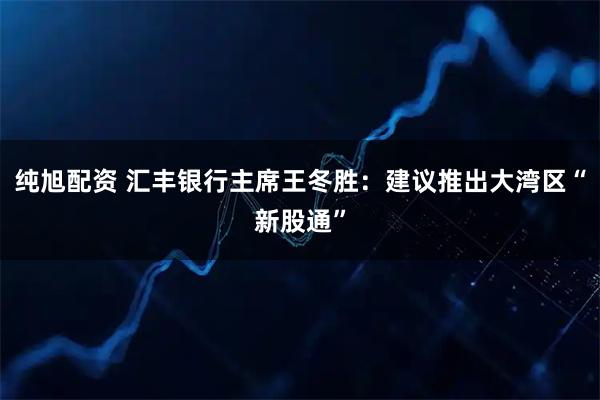 纯旭配资 汇丰银行主席王冬胜：建议推出大湾区“新股通”