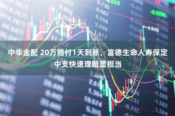 中华金配 20万赔付1天到账,富德生命人寿保定中支快速理赔显担当