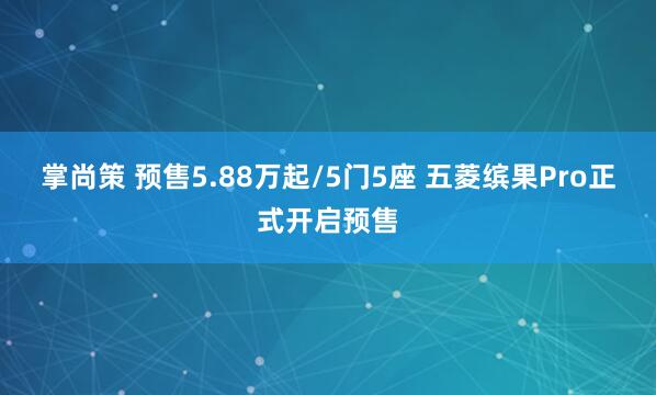 掌尚策 预售5.88万起/5门5座 五菱缤果Pro正式开启预售