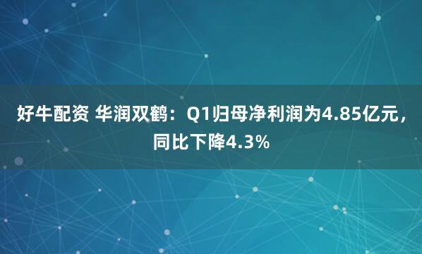好牛配资 华润双鹤：Q1归母净利润为4.85亿元，同比下降4.3%