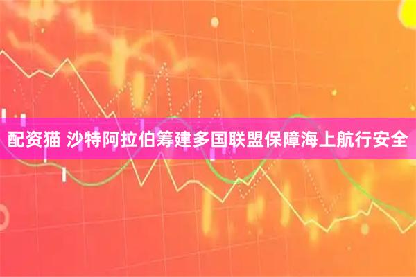 配资猫 沙特阿拉伯筹建多国联盟保障海上航行安全