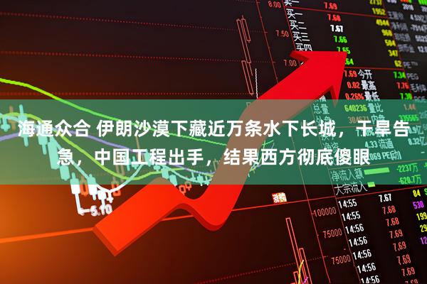 海通众合 伊朗沙漠下藏近万条水下长城，干旱告急，中国工程出手，结果西方彻底傻眼