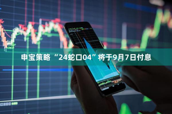 申宝策略 “24蛇口04”将于9月7日付息